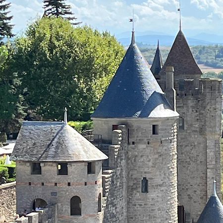Appartement Tres Calme, Rdc, 800 M De La Cite Medievale Classee Au Patrimoine De L'Unesco Carcassonne Bagian luar foto