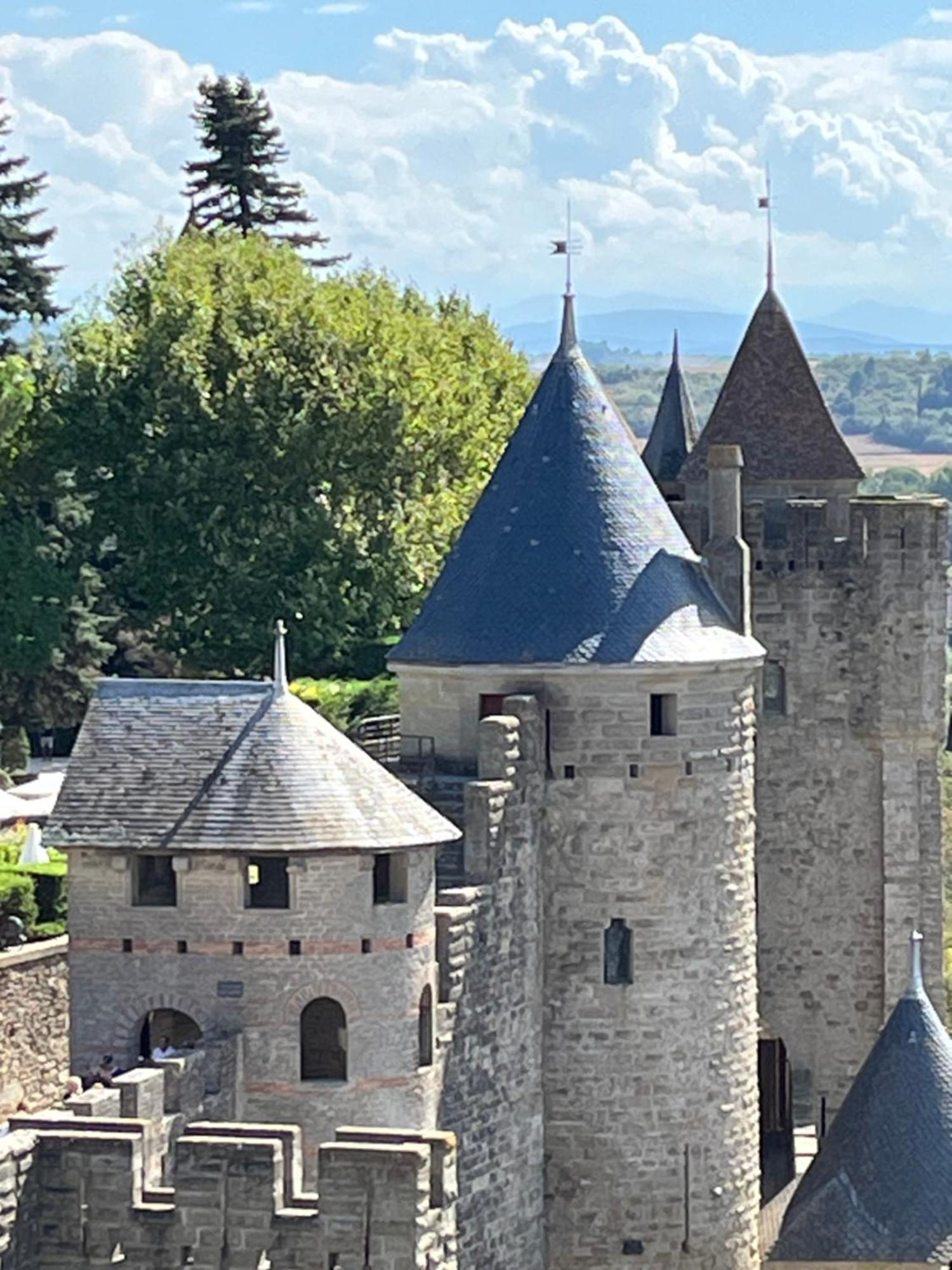 Appartement Tres Calme, Rdc, 800 M De La Cite Medievale Classee Au Patrimoine De L'Unesco Carcassonne Bagian luar foto